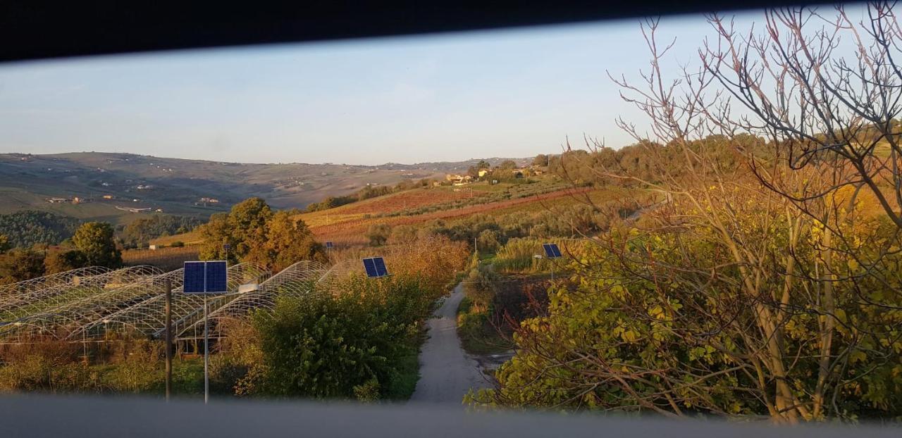 Masseria Frangiosa Torrecuso エクステリア 写真